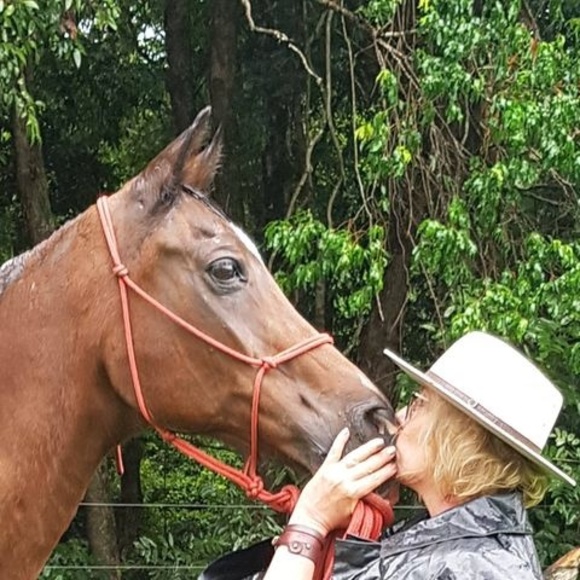 Meet your Posher, Lisel - Picture 1 of 1